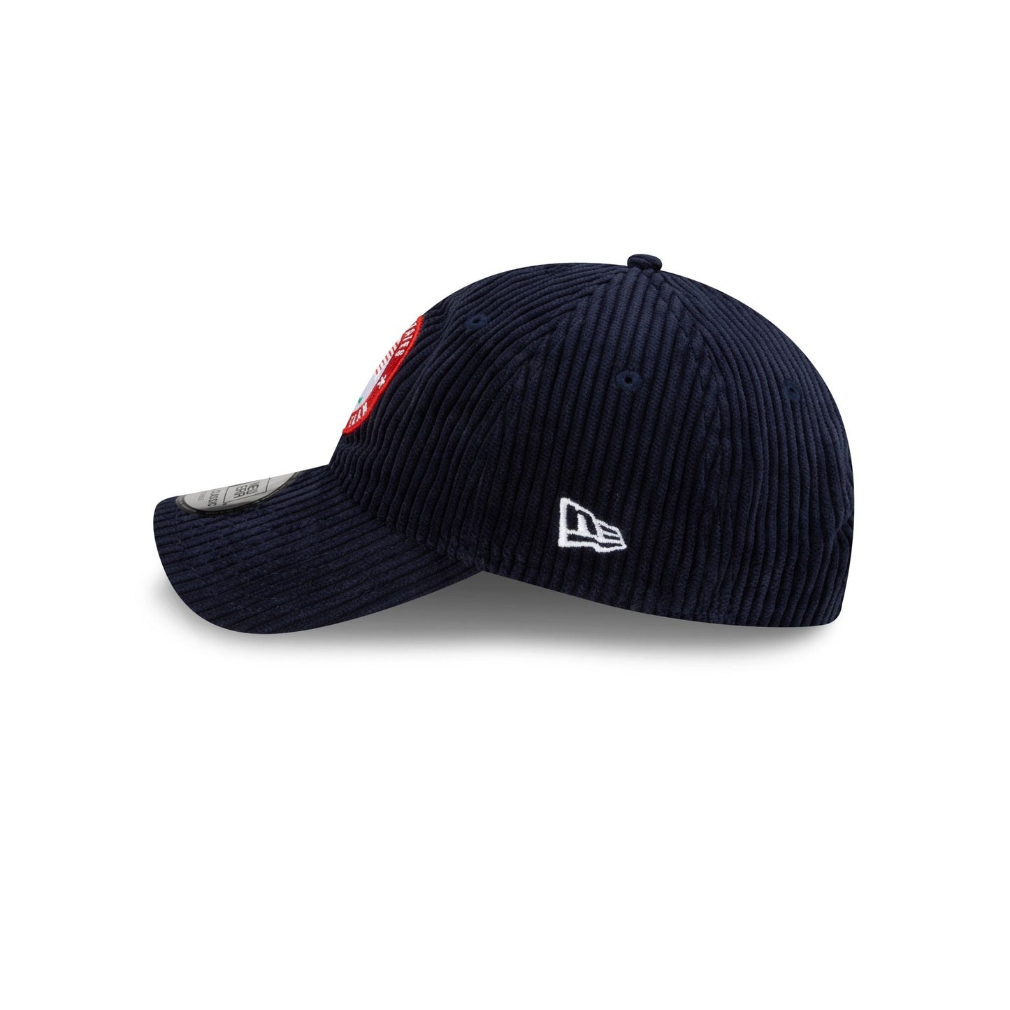 Team USA Winter Paralympics Corduroy Casual Classic Adjustable Hat