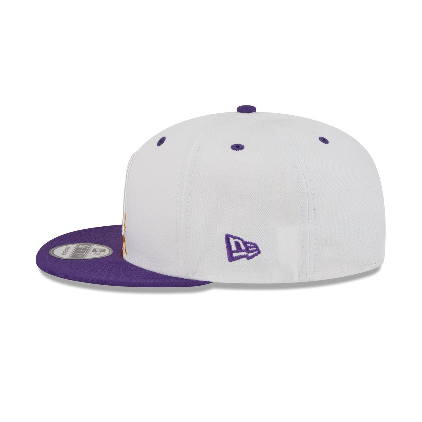 Los Angeles Lakers 2026 All-Star Game Brushstroke 9FIFTY Snapback Hat